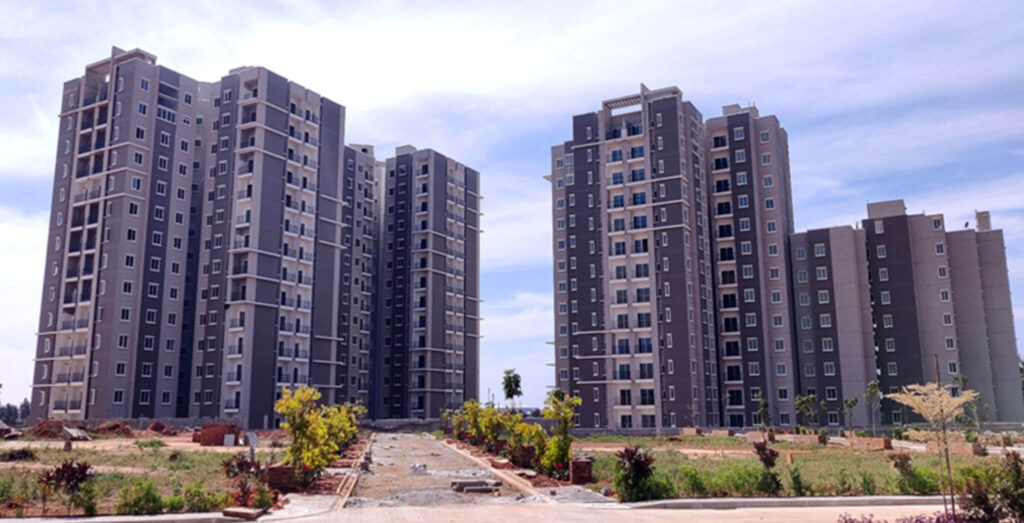 brigade-orchards--juniper-03