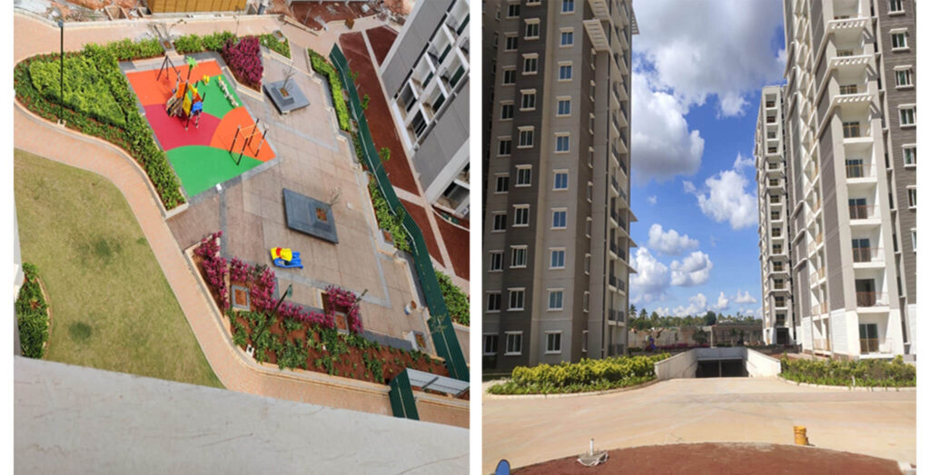 brigade-orchards--juniper-06